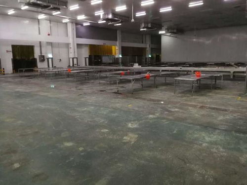 鄭州思念食品廠舊地坪改造,快來看老師傅的施工流程