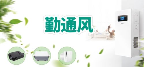 綠島風 ipo擬上市 自主品牌新勢力 廣東綠島風